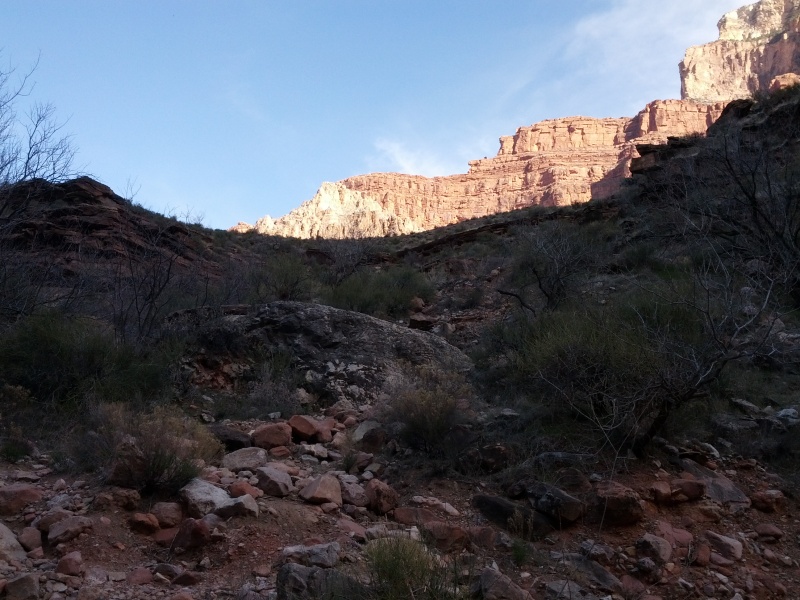 IMG_20130314_160644.jpg